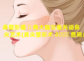 鼻整形盛 ☘ 典大咖云集共话鼻尖艺术(鼻尖整形术 🐎 费用多少钱)